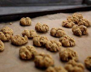 Kitty Biscuits